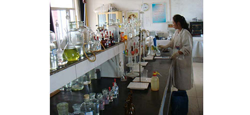 实验室1